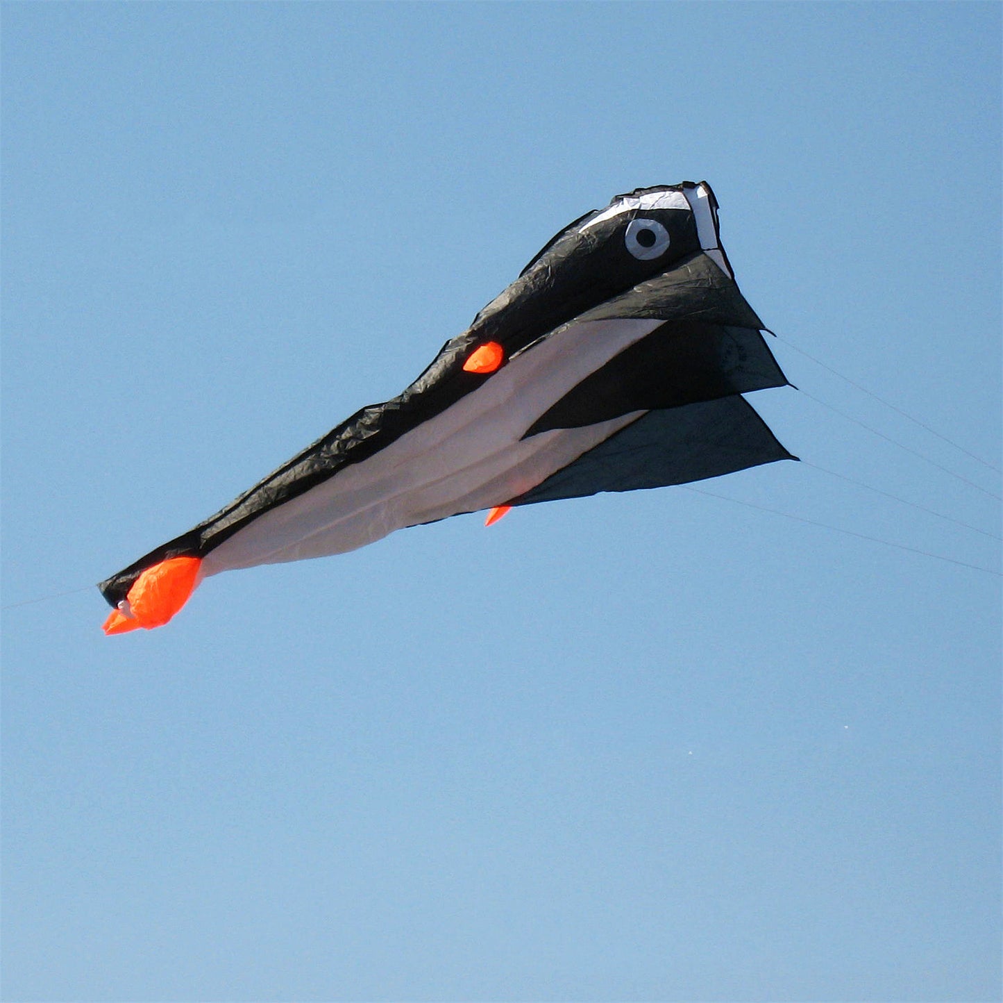 Multicolored Dolphin Kites With Tail.