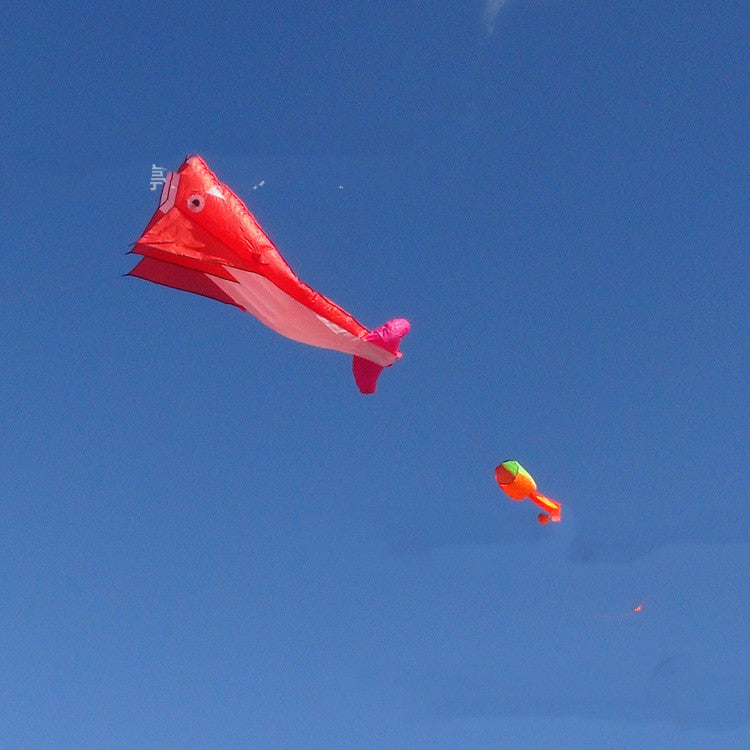 Multicolored Dolphin Kites With Tail.