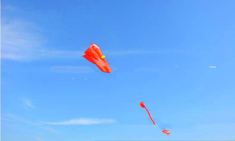 Multicolored Dolphin Kites With Tail.